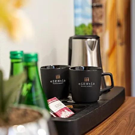 Esentia Guest house